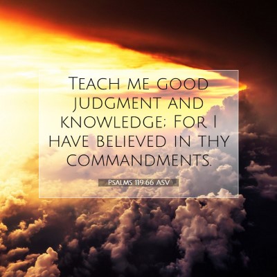 Picture 07 - Psalms 119:66 ASV - Teach me good judgment and knowledge; For I have - Bible Verse Picture