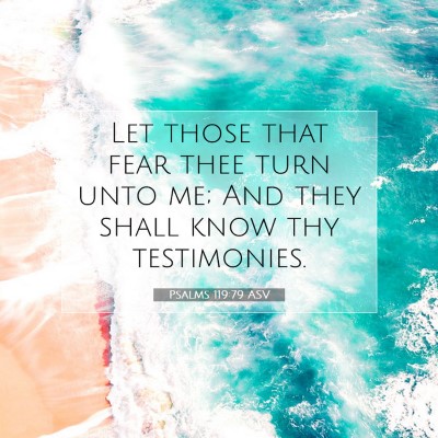 Picture 07 - Psalms 119:79 ASV - Let those that fear thee turn unto me; And they - Bible Verse Picture