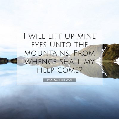 Picture 07 - Psalms 121:1 ASV - I will lift up mine eyes unto the mountains: From - Bible Verse Picture