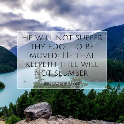 Picture 07 - Psalms 121:3 ASV - He will not suffer thy foot to be moved: He that - Bible Verse Picture