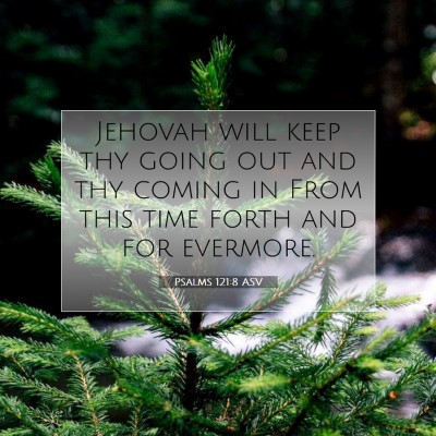 Picture 07 - Psalms 121:8 ASV - Jehovah will keep thy going out and thy coming in - Bible Verse Picture