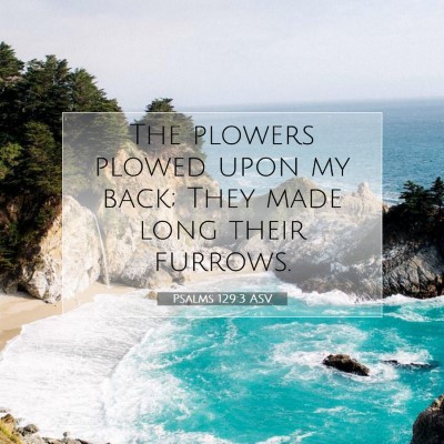 Picture 07 - Psalms 129:3 ASV - The plowers plowed upon my back; They made long - Bible Verse Picture