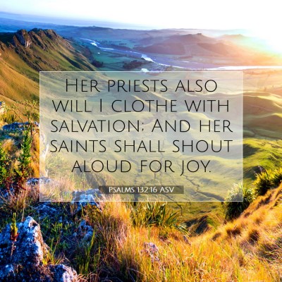Picture 07 - Psalms 132:16 ASV - Her priests also will I clothe with salvation; - Bible Verse Picture