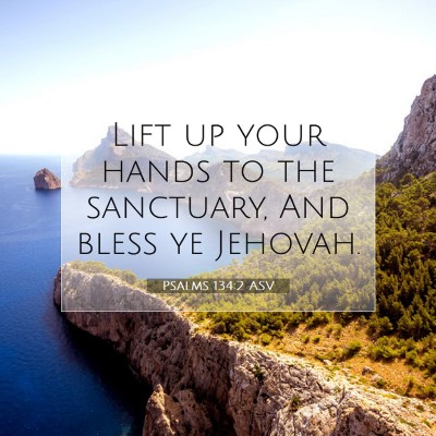 Picture 07 - Psalms 134:2 ASV - Lift up your hands to the sanctuary, And bless ye - Bible Verse Picture