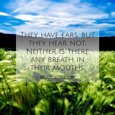 Picture 07 - Psalms 135:17 ASV - They have ears, but they hear not; Neither is - Bible Verse Picture