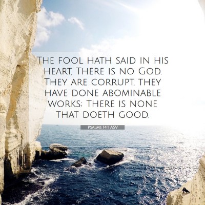 Picture 07 - Psalms 14:1 ASV - The fool hath said in his heart, There is no God. - Bible Verse Picture