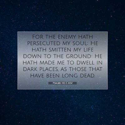 Picture 07 - Psalms 143:3 ASV - For the enemy hath persecuted my soul; He hath - Bible Verse Picture