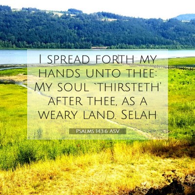 Picture 07 - Psalms 143:6 ASV - I spread forth my hands unto thee: My soul - Bible Verse Picture