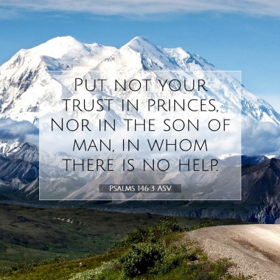 Picture 07 - Psalms 146:3 ASV - Put not your trust in princes, Nor in the son of - Bible Verse Picture