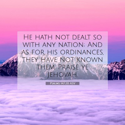 Picture 07 - Psalms 147:20 ASV - He hath not dealt so with any nation; And as for - Bible Verse Picture