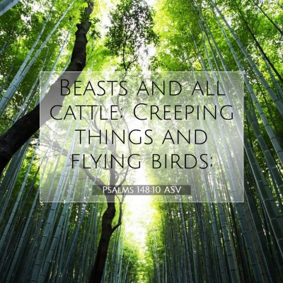 Picture 07 - Psalms 148:10 ASV - Beasts and all cattle; Creeping things and flying - Bible Verse Picture