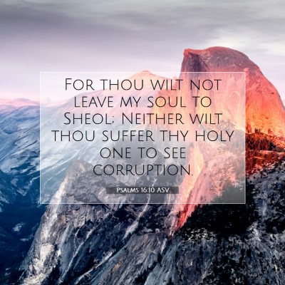Picture 07 - Psalms 16:10 ASV - For thou wilt not leave my soul to Sheol; Neither - Bible Verse Picture