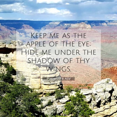 Picture 07 - Psalms 17:8 ASV - Keep me as the apple of the eye; Hide me under - Bible Verse Picture