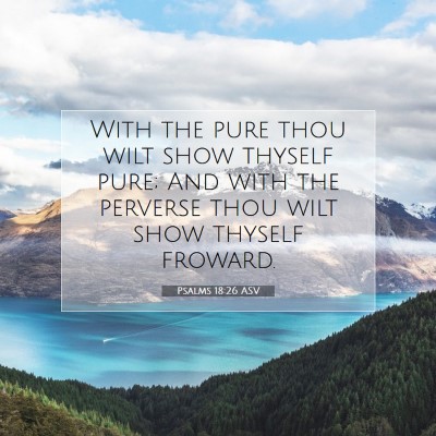 Picture 07 - Psalms 18:26 ASV - With the pure thou wilt show thyself pure; And - Bible Verse Picture