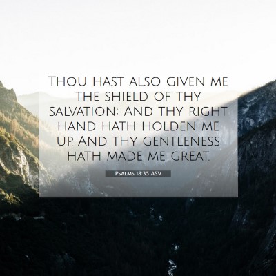Picture 07 - Psalms 18:35 ASV - Thou hast also given me the shield of thy - Bible Verse Picture