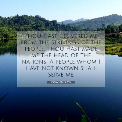 Picture 07 - Psalms 18:43 ASV - Thou hast delivered me from the strivings of the - Bible Verse Picture