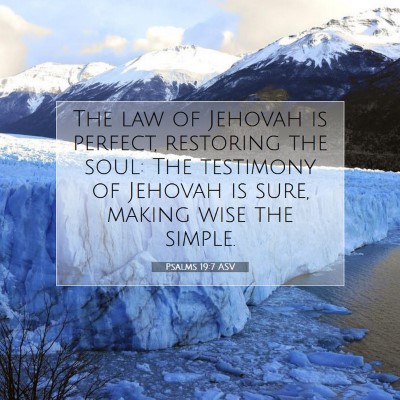 Picture 07 - Psalms 19:7 ASV - The law of Jehovah is perfect, restoring the - Bible Verse Picture