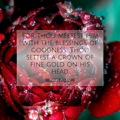 Picture 07 - Psalms 21:3 ASV - For thou meetest him with the blessings of - Bible Verse Picture