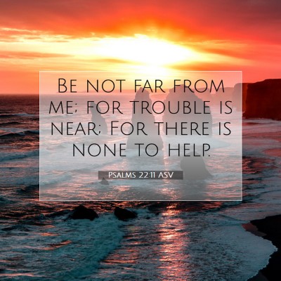 Picture 07 - Psalms 22:11 ASV - Be not far from me; for trouble is near; For - Bible Verse Picture