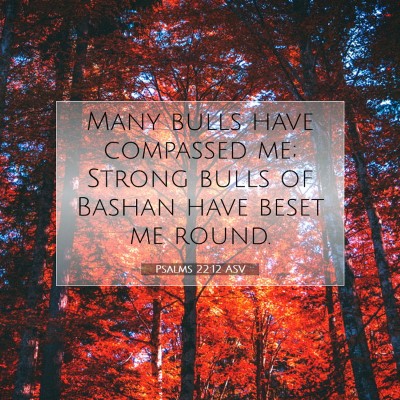 Picture 07 - Psalms 22:12 ASV - Many bulls have compassed me; Strong bulls of - Bible Verse Picture