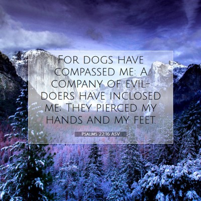 Picture 07 - Psalms 22:16 ASV - For dogs have compassed me: A company of - Bible Verse Picture