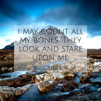 Picture 07 - Psalms 22:17 ASV - I may count all my bones; They look and stare - Bible Verse Picture