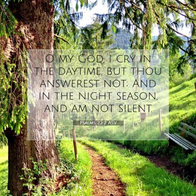 Picture 07 - Psalms 22:2 ASV - O my God, I cry in the daytime, but thou - Bible Verse Picture