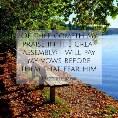 Picture 07 - Psalms 22:25 ASV - Of thee cometh my praise in the great assembly: I - Bible Verse Picture