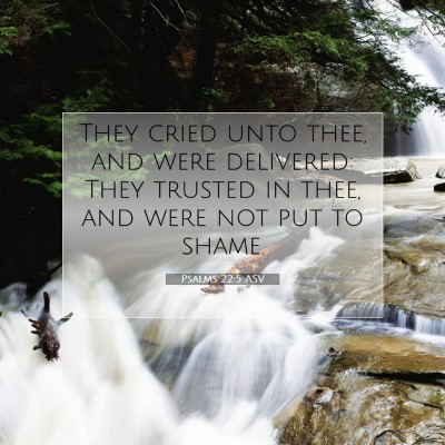 Picture 07 - Psalms 22:5 ASV - They cried unto thee, and were delivered: They - Bible Verse Picture