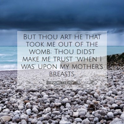 Picture 07 - Psalms 22:9 ASV - But thou art he that took me out of the womb; - Bible Verse Picture