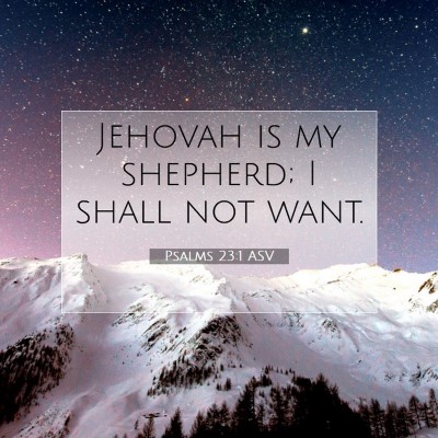 Picture 07 - Psalms 23:1 ASV - Jehovah is my shepherd; I shall not - Bible Verse Picture