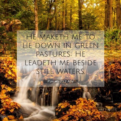 Picture 07 - Psalms 23:2 ASV - He maketh me to lie down in green pastures; He - Bible Verse Picture