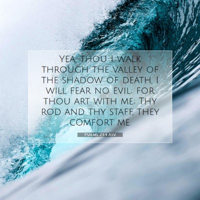 Picture 07 - Psalms 23:4 ASV - Yea, thou I walk through the valley of the shadow - Bible Verse Picture