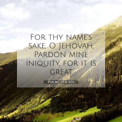 Picture 07 - Psalms 25:11 ASV - For thy name's sake, O Jehovah, Pardon mine - Bible Verse Picture