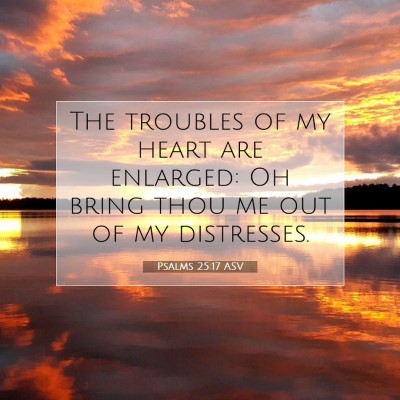 Picture 07 - Psalms 25:17 ASV - The troubles of my heart are enlarged: Oh bring - Bible Verse Picture