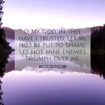 Picture 07 - Psalms 25:2 ASV - O my God, in thee have I trusted, Let me not be - Bible Verse Picture
