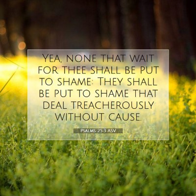 Picture 07 - Psalms 25:3 ASV - Yea, none that wait for thee shall be put to - Bible Verse Picture