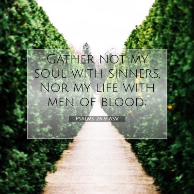 Picture 07 - Psalms 26:9 ASV - Gather not my soul with sinners, Nor my life with - Bible Verse Picture