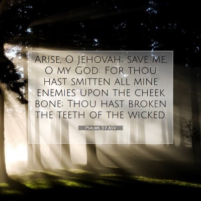 Picture 07 - Psalms 3:7 ASV - Arise, O Jehovah; save me, O my God: For thou - Bible Verse Picture