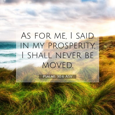 Picture 07 - Psalms 30:6 ASV - As for me, I said in my prosperity, I shall never - Bible Verse Picture