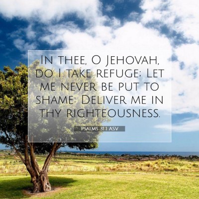 Picture 07 - Psalms 31:1 ASV - In thee, O Jehovah, do I take refuge; Let me - Bible Verse Picture