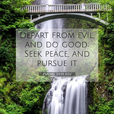 Picture 07 - Psalms 34:14 ASV - Depart from evil, and do good; Seek peace, and - Bible Verse Picture