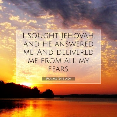 Picture 07 - Psalms 34:4 ASV - I sought Jehovah, and he answered me, And - Bible Verse Picture
