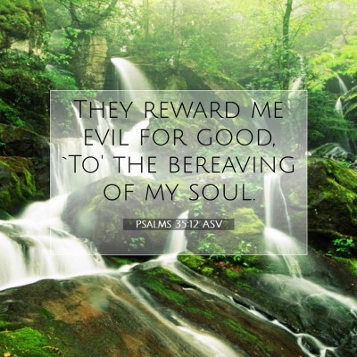 Picture 07 - Psalms 35:12 ASV - They reward me evil for good, `To' the bereaving - Bible Verse Picture