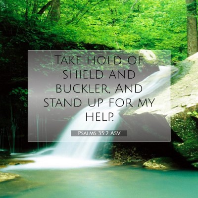 Picture 07 - Psalms 35:2 ASV - Take hold of shield and buckler, And stand up for - Bible Verse Picture