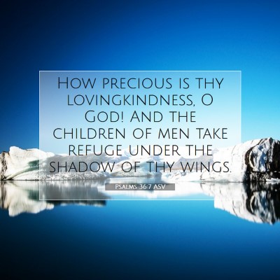 Picture 07 - Psalms 36:7 ASV - How precious is thy lovingkindness, O God! And - Bible Verse Picture