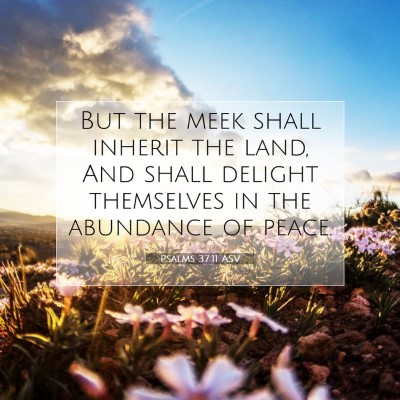 Picture 07 - Psalms 37:11 ASV - But the meek shall inherit the land, And shall - Bible Verse Picture