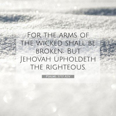 Picture 07 - Psalms 37:17 ASV - For the arms of the wicked shall be broken; But - Bible Verse Picture