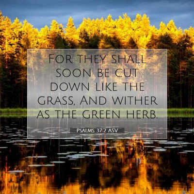 Picture 07 - Psalms 37:2 ASV - For they shall soon be cut down like the grass, - Bible Verse Picture