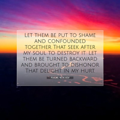 Picture 07 - Psalms 40:14 ASV - Let them be put to shame and confounded together - Bible Verse Picture